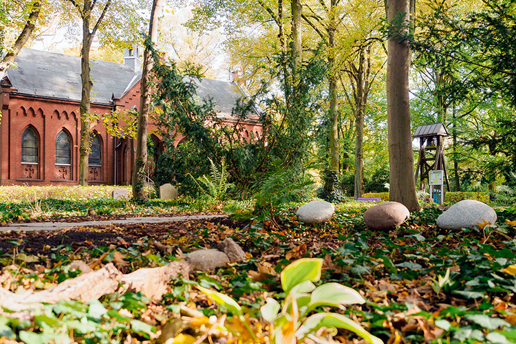 Friedhof Frieden-Himmelfahrt, Himmelswaldgarten: Findlinge im Herbst (© Mike Raptis/EvFBS) Friedhof Frieden-Himmelfahrt, Himmelswaldgarten: Findlinge im Herbst (© Mike Raptis/EvFBS)