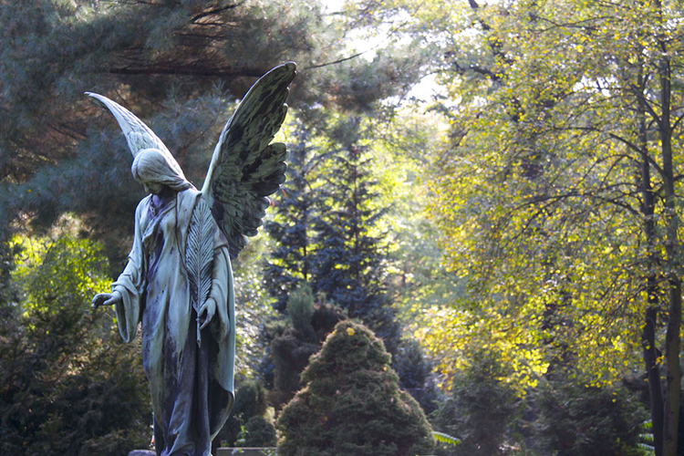 Friedhof St. Elisabeth I (Foto © Juliane Bluhm) Friedhof St. Elisabeth I (Foto © Juliane Bluhm)