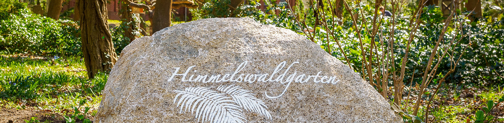 Friedhof Frieden-Himmelfahrt, Himmelswaldgarten: Großer Findling im Frühling (© Mike Raptis/EvFBS) Friedhof Frieden-Himmelfahrt, Himmelswaldgarten: Großer Findling im Frühling (© Mike Raptis/EvFBS)