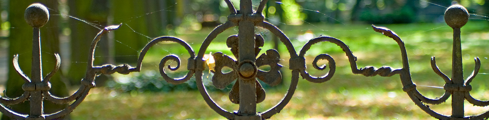 Friedhof Georgen-Parochial III (Foto © Egbert Schmidt) Friedhof Georgen-Parochial III (Foto © Egbert Schmidt)